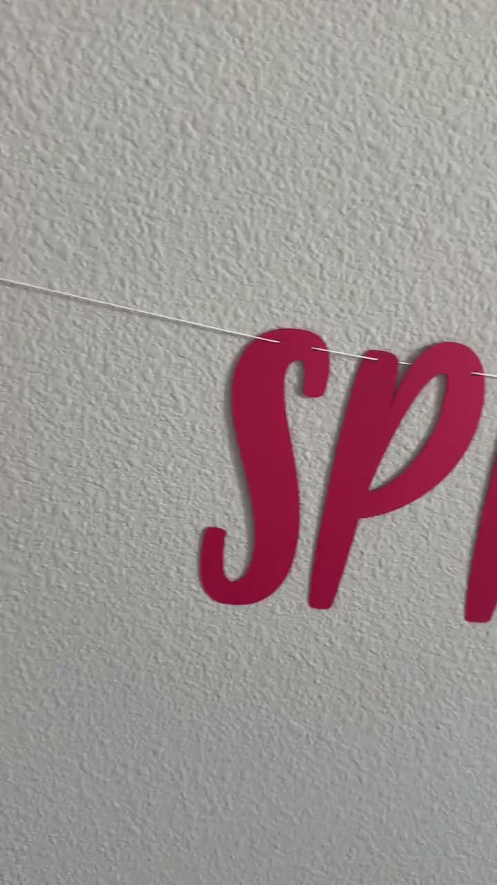 Spritzed & Hitched, Spritzed and Hitched Decorations, Bachelorette Party Decorations, Bachelorette Ideas, Spritz Theme