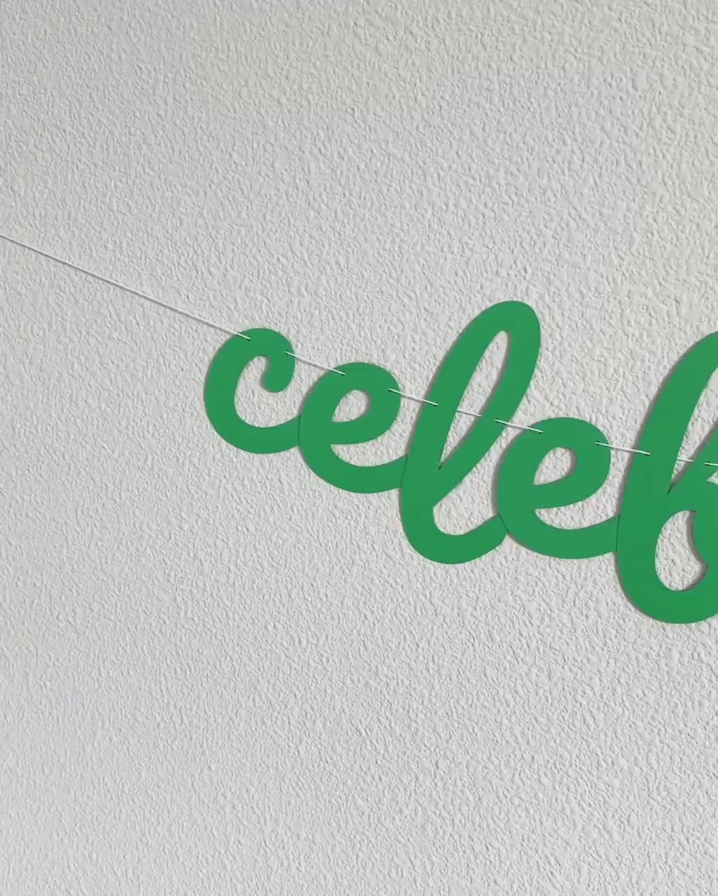 CelebrEIGHT, 8th Birthday Banner, Eighth Birthday, 8th Birthday Party, 8th Birthday Theme Ideas, 8th Birthday Party Decorations