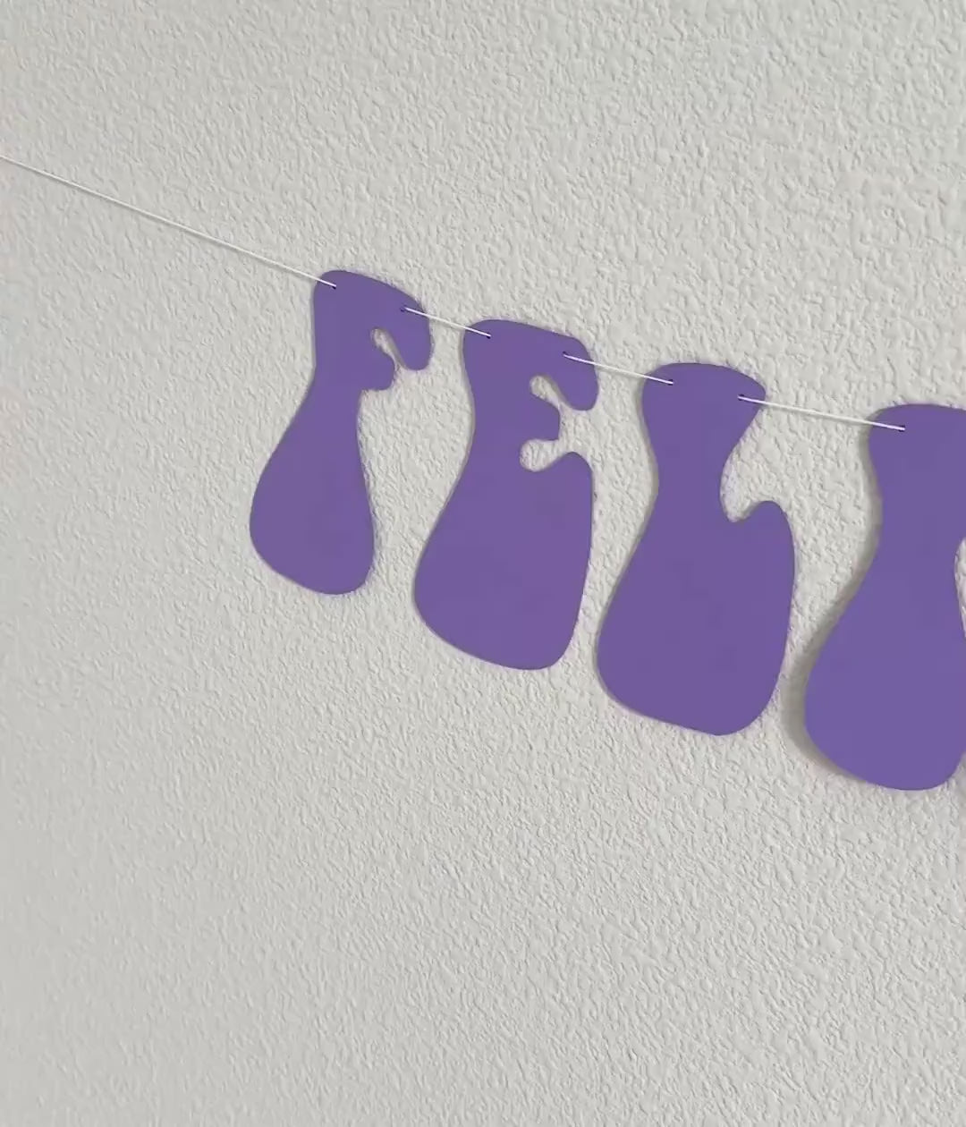 Feline Nine, 9th Birthday Party Decorations, Cat Themed 9th Birthday Party Banner, Cat Lovers 9th Birthday Party Ideas