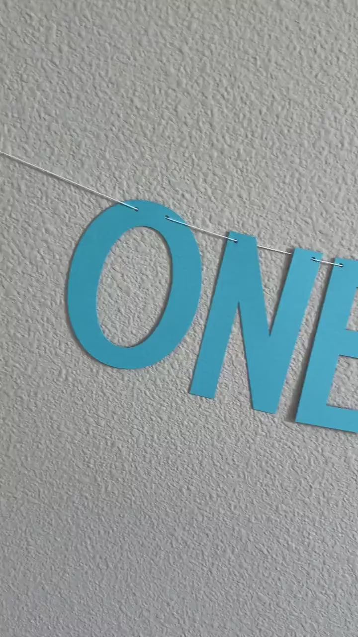 One Wild Boy, Boy 1st Birthday Banner, 1st Birthday Decorations, 1st Birthday Theme Ideas, One Wild Boy Banner, Boy 1st Birthday Party