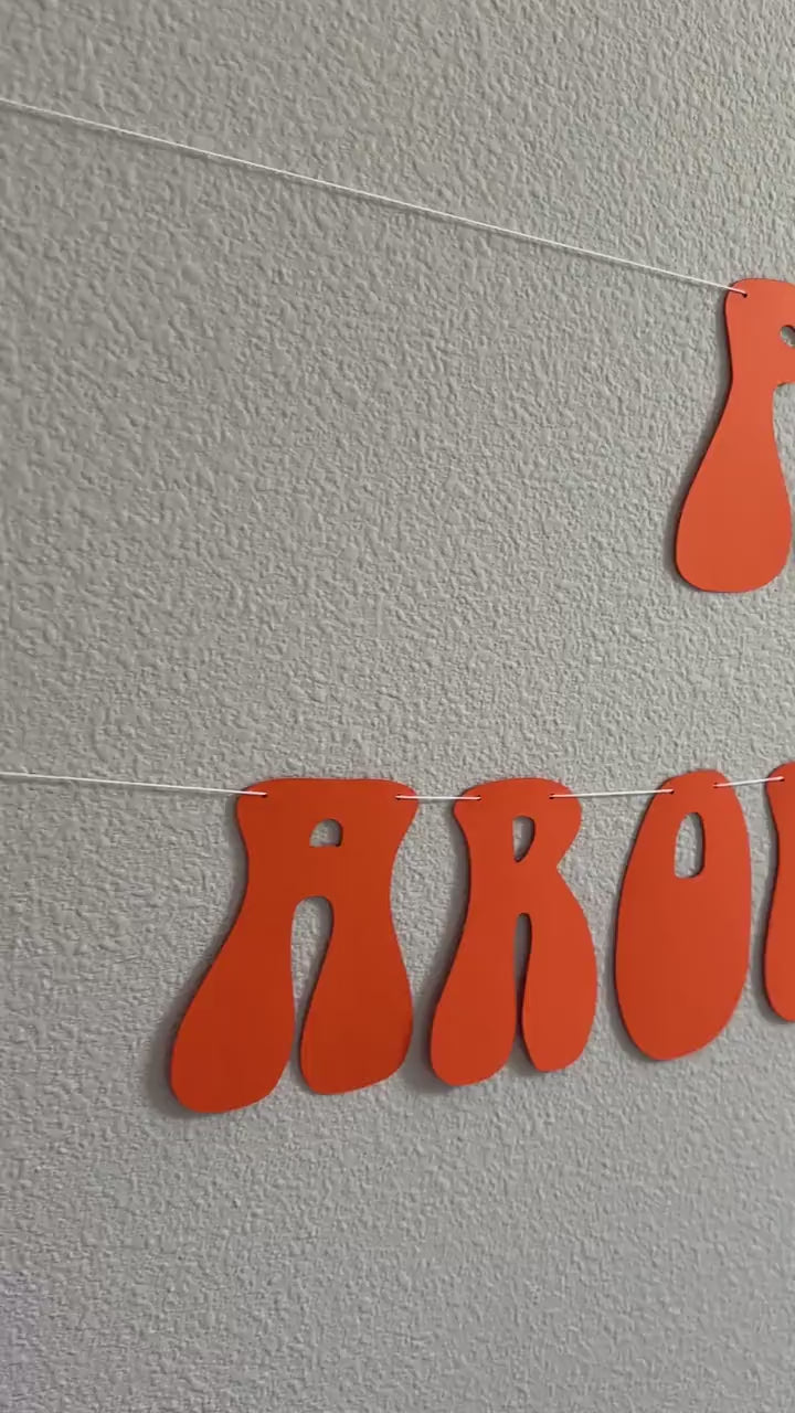 First Trip Around The Sun, 1sy Birthday Party Decoration Ideas, First Trip Around The Sun Banner, First Birthday Party Banner