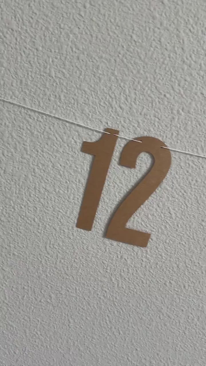 12 Months Of Name Banner, 1st birthday Decorations, Milestone Decorations, Milestone Banner