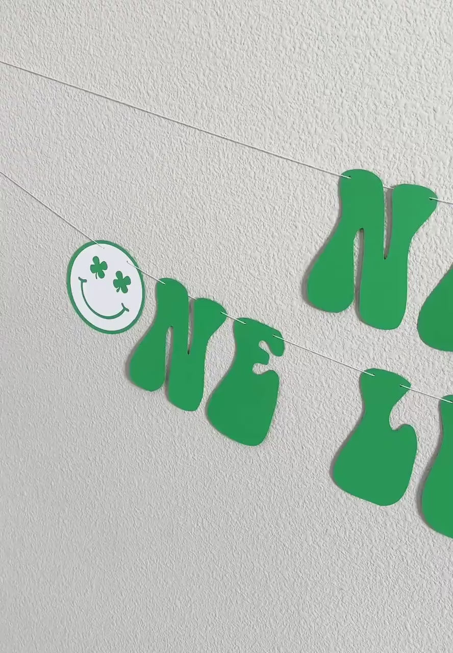 One Lucky Dude Banner, St. Patrick&#39;s Day Themed 1st Birthday, One Lucky Dude Decorations, Lucky Dude Birthday Theme