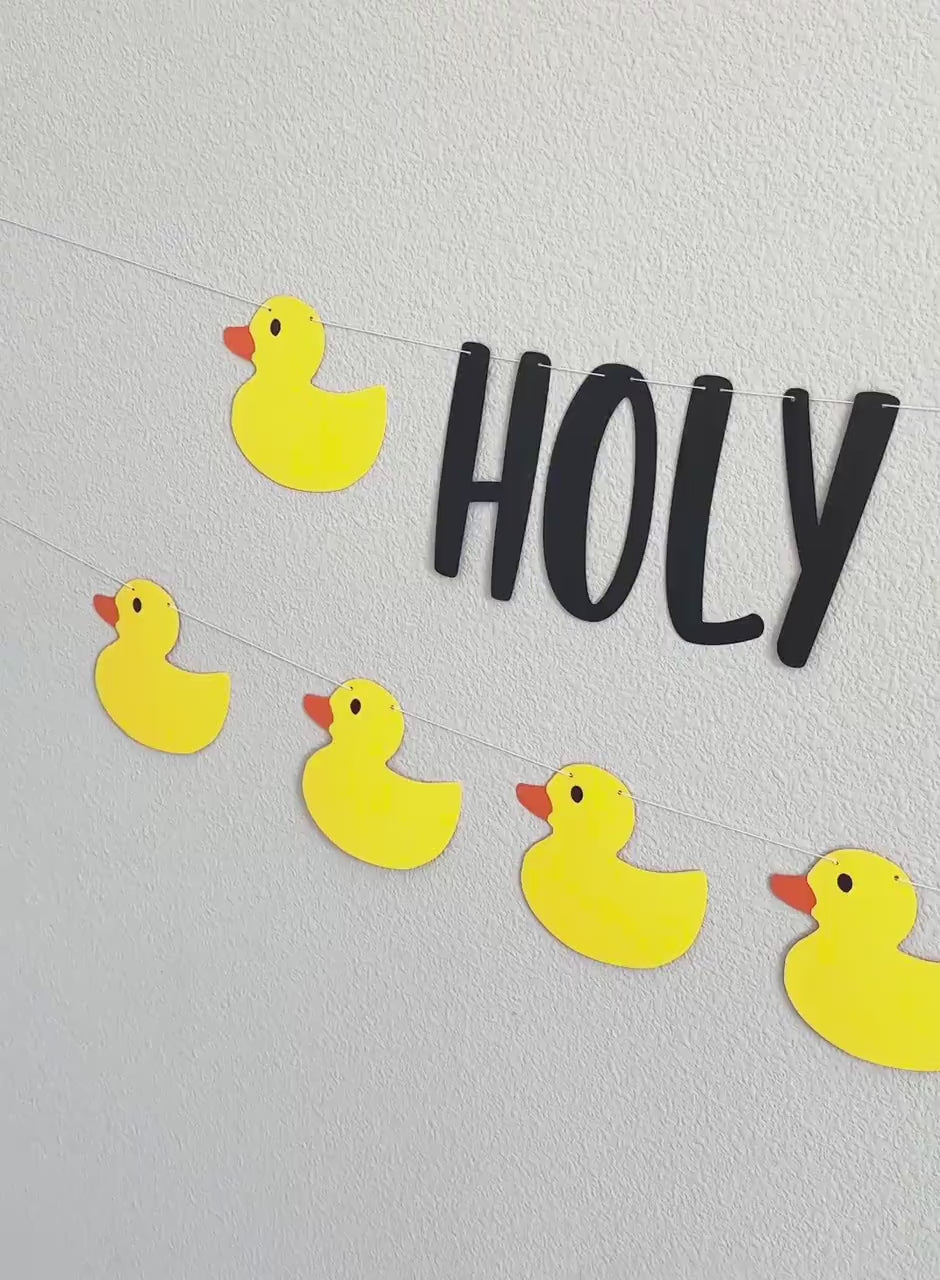 Holy Duck I&#39;m 17, 17th Birthday Party, 17th Birthday Ideas, Seventeen, 17th Birthday Party Theme Ideas, Duck Themed 17t Birthday Banner