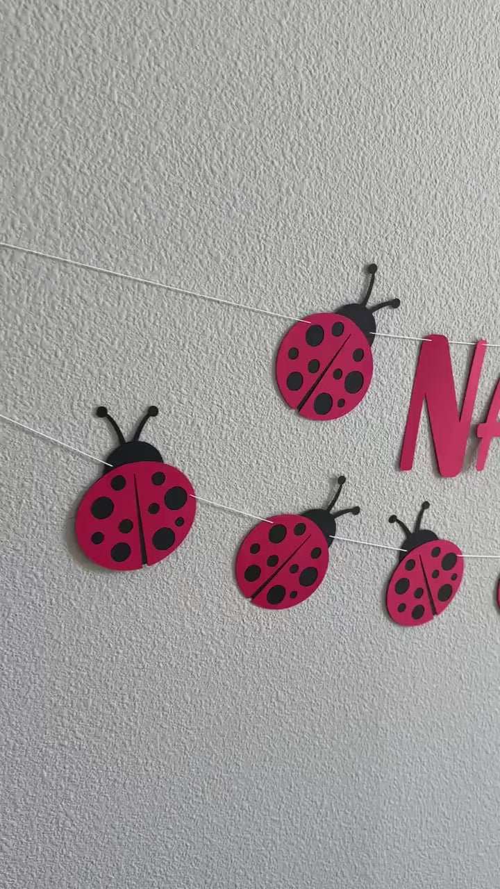 Ladybug Birthday Banner, Ladybug Decorations, Name Is Age, Name Is Two Banner, 2nd Birthday Decoration Ideas