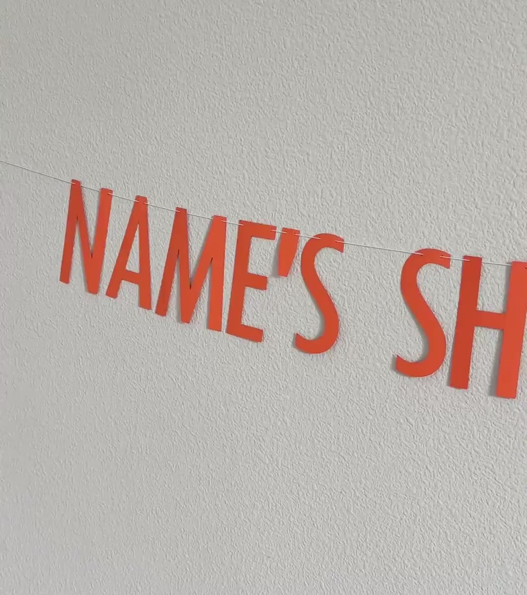 Name&#39;s Showgirl Birthday Banner, Showgirl Birthday Party Decorations, Showgirl Birthday Theme, Showgirl Party Banner