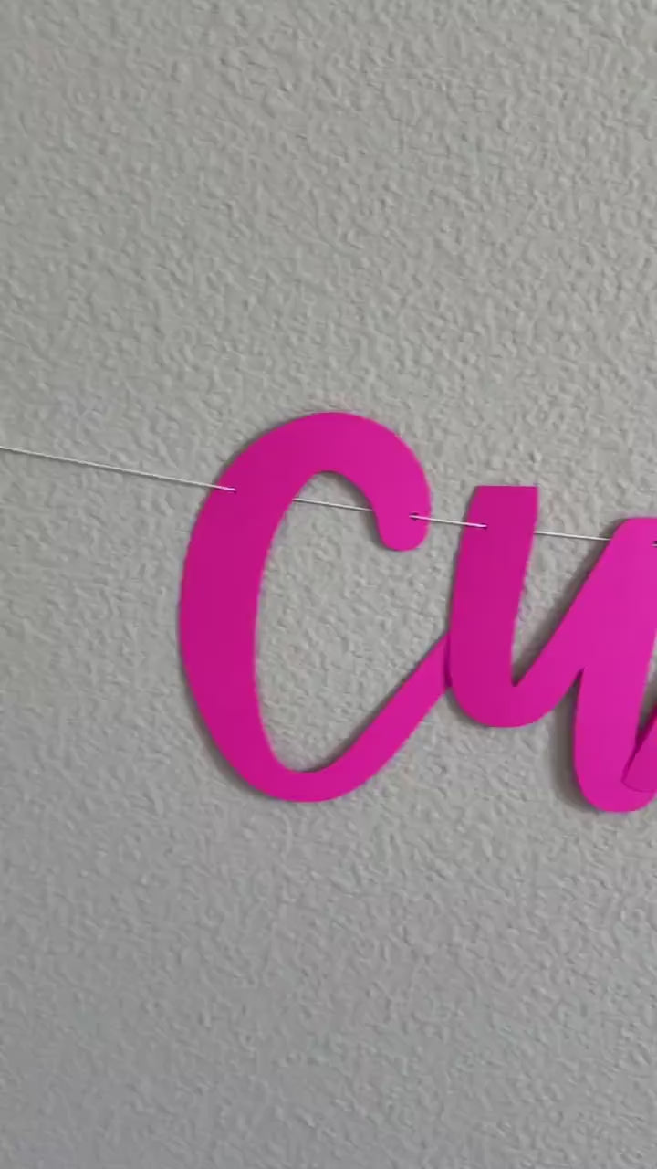 Custom Banner, Custom Hot Pink Banner, Custom Fuchsia Banner, Fuchsia Decorations, Bachelorette Decorations, Birthday Banner