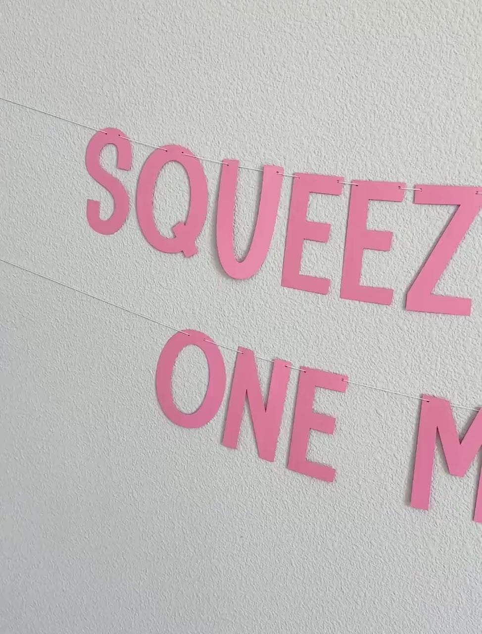 Squeeze Me Baby One More lime, Squeeze Me Baby One More Lime Banner, Bachelorette Party, Bridal Shower Decorations
