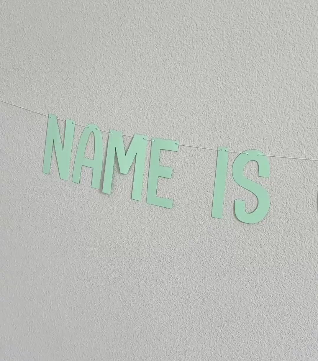 One-Asauraus, Dinosaur 1st Birthday Decorations, Name Is One-Asauraus, Dinosaur Party Banner, 1st Birthday Party Decorations